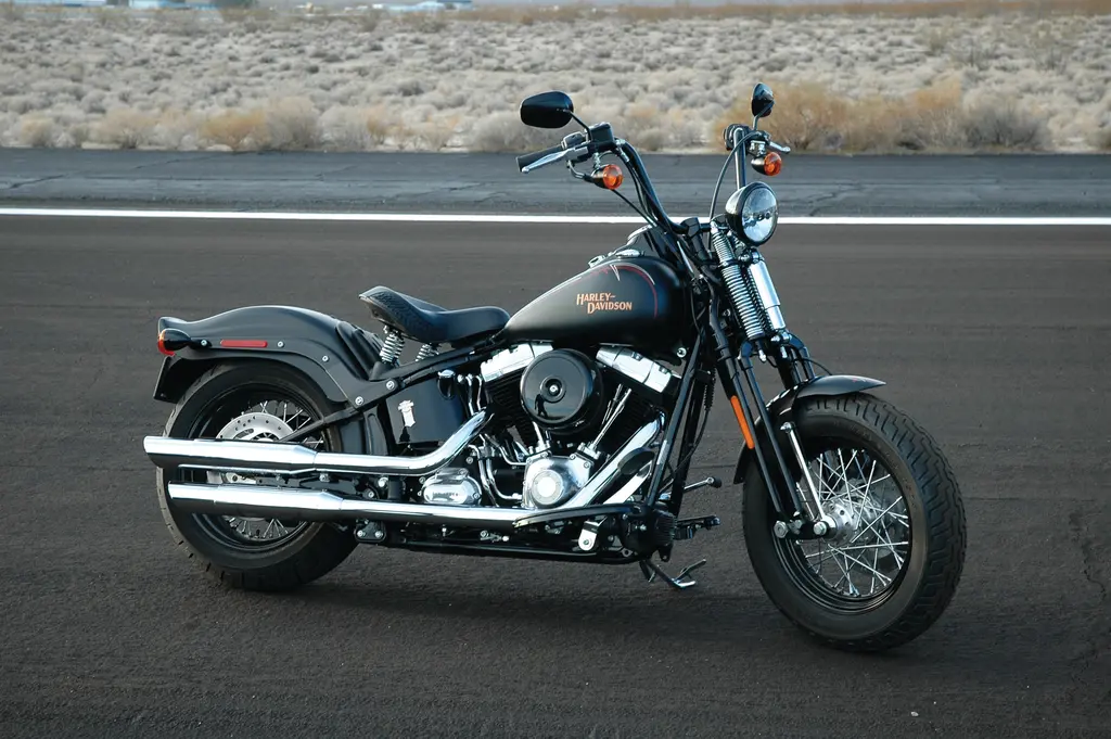 A dark Harley-Davidson Cross Bones with a sprung solo saddle, springer front fork and chrome exhaust, parked beside a road.
